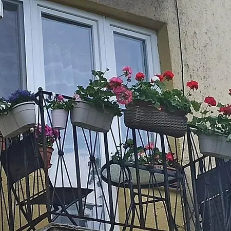 Apartment Karancs Salgotarjan