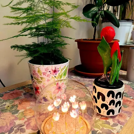 Apartament Karancs Salgótarján