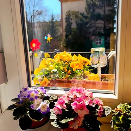 Apartment Karancs *